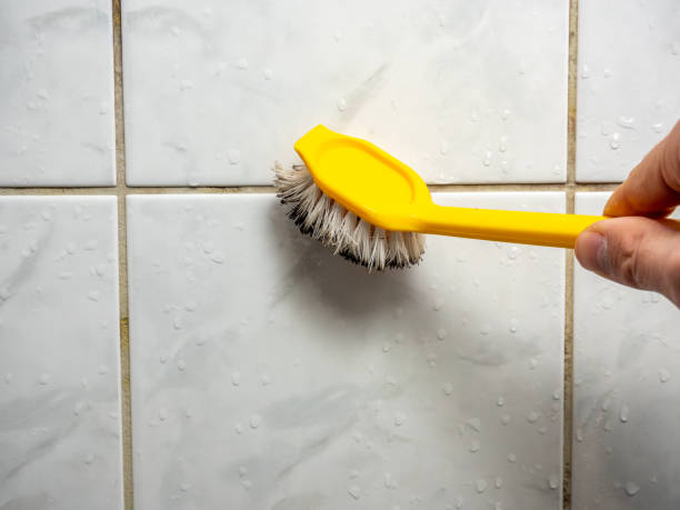 Trusted Montgomery, OH Mold Removal Experts
