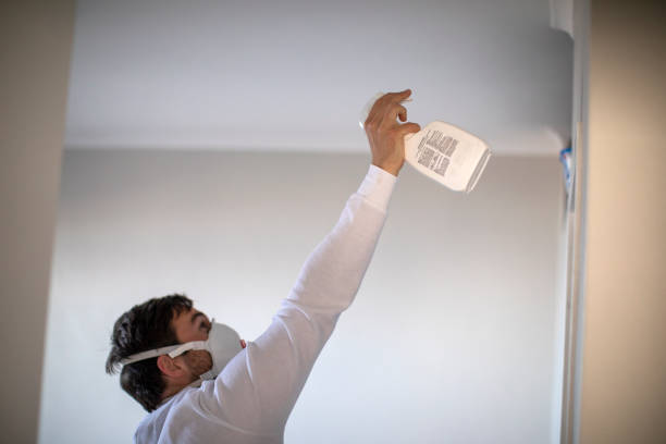 Mold Removal and Inspection in Montgomery, OH